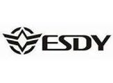 "Логотип ESDY"