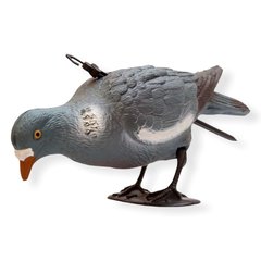 Подсадной голубь Birdland кормящийся