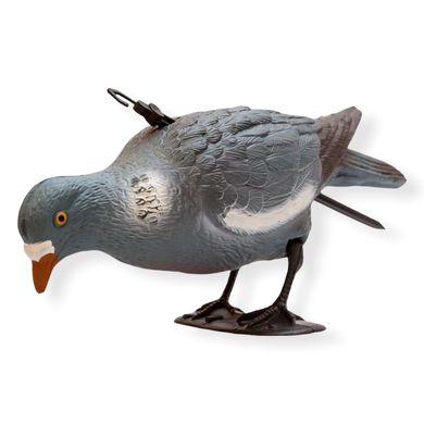Чучело подсадного голубя кормящегося