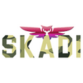 "Логотип Skadi"